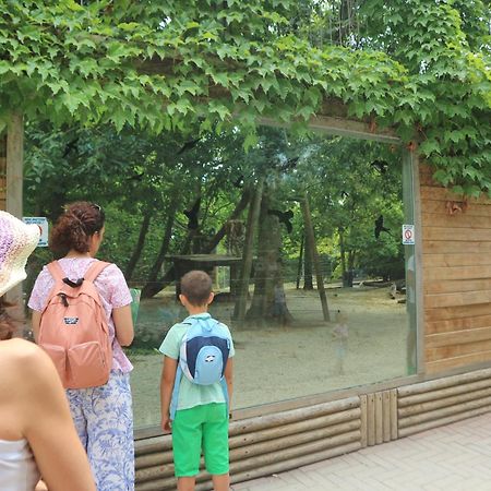 Carinzia Daire Lignano Sabbiadoro Dış mekan fotoğraf