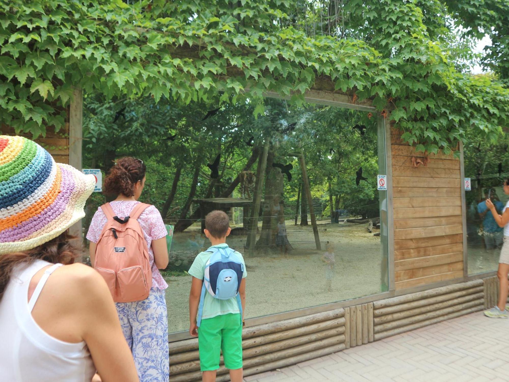 Carinzia Daire Lignano Sabbiadoro Dış mekan fotoğraf