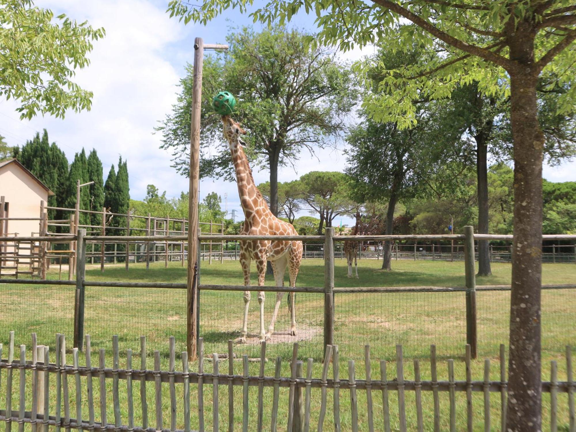 Carinzia Daire Lignano Sabbiadoro Dış mekan fotoğraf